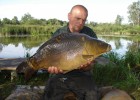 Carpe miroir avec de jolie couleur