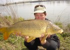 Carpe commune de 9.5kgs